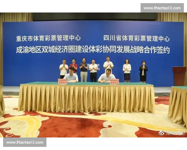 中国体育事业发展成就与未来战略探索分析报告