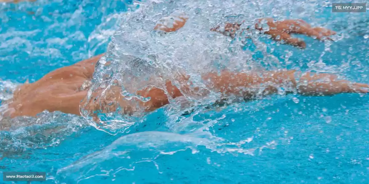 行业领先的理由